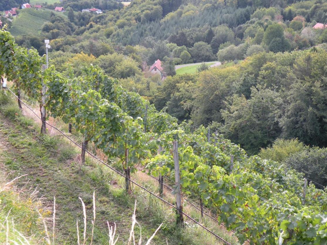 Weingut Albert, Familie Cramer Bed & Breakfast Kitzeck im Sausal Eksteriør bilde