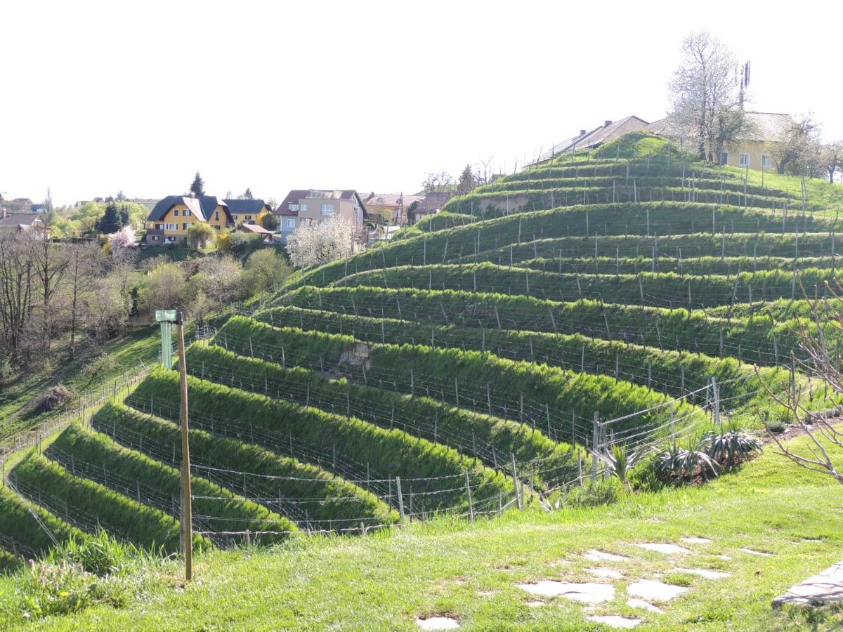 Weingut Albert, Familie Cramer Bed & Breakfast Kitzeck im Sausal Eksteriør bilde