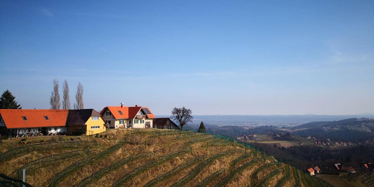 Weingut Albert, Familie Cramer Bed & Breakfast Kitzeck im Sausal Eksteriør bilde