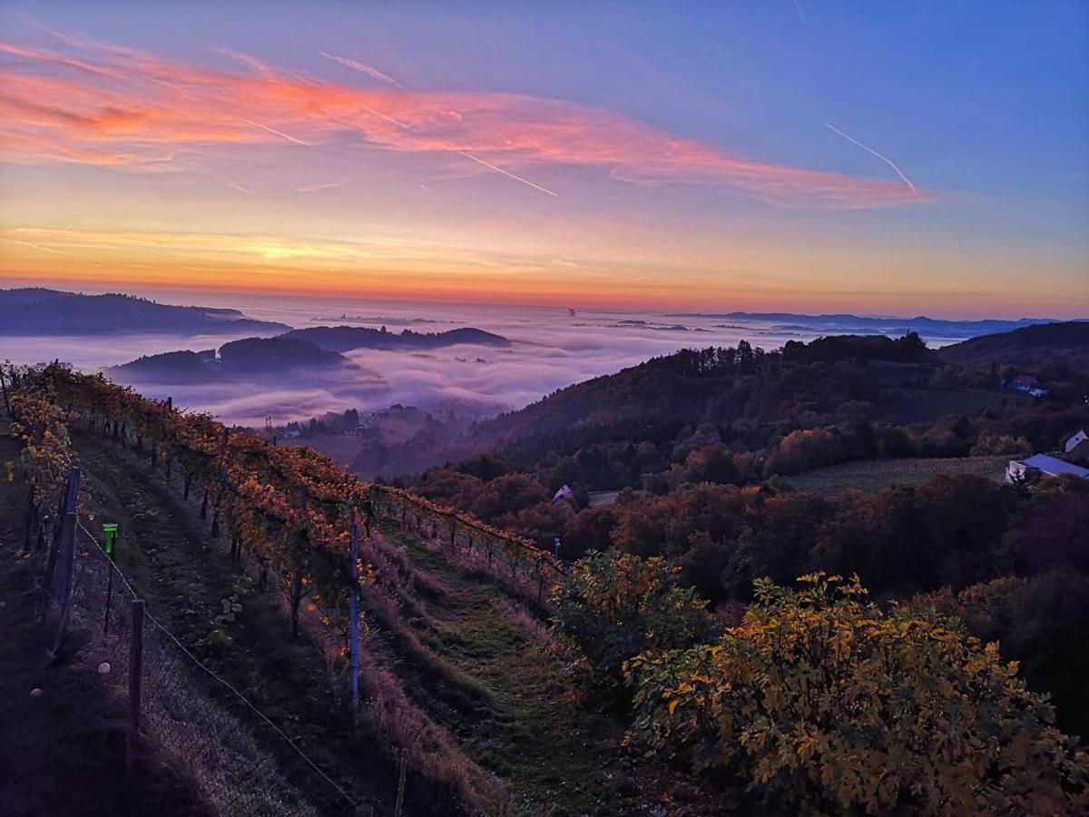 Weingut Albert, Familie Cramer Bed & Breakfast Kitzeck im Sausal Eksteriør bilde