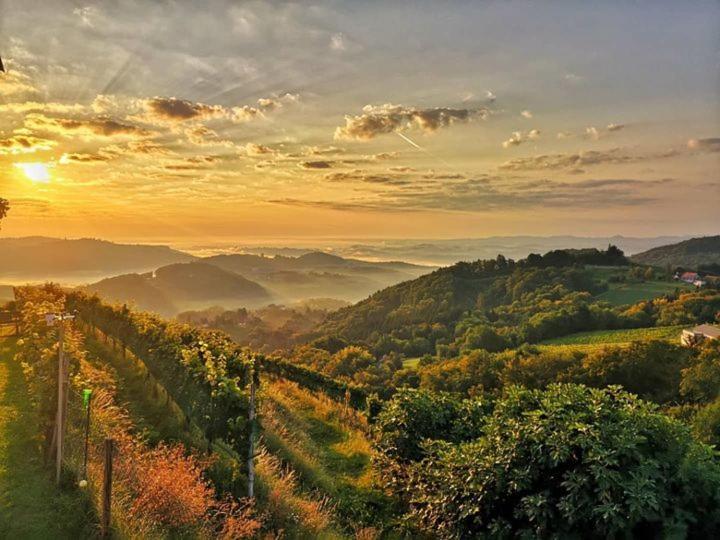 Weingut Albert, Familie Cramer Bed & Breakfast Kitzeck im Sausal Eksteriør bilde